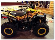Can-Am Renegade CreatorX Graphics Dragon Fury Red Yellow 02