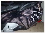 Can-Am Spyder RTS Graphics by CreatorX SpiderX Design Silver 003